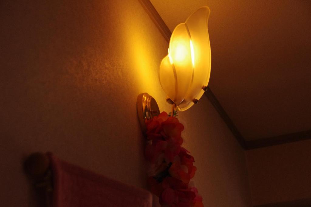 Hotel ペンションカパルア軽井沢 Karuizawa Exteriér fotografie